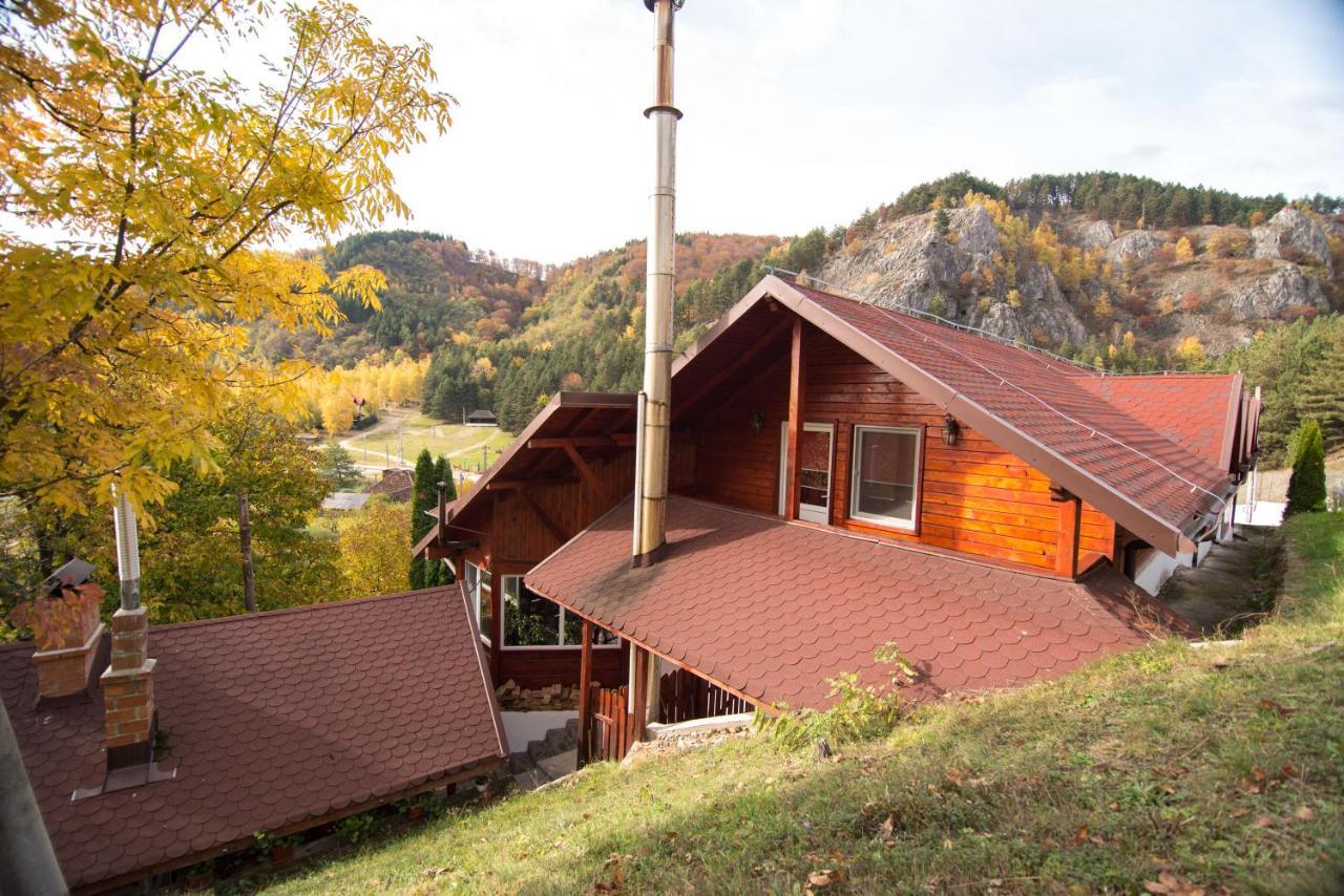 Вилла Casa Domneasca Байя-де-Фьер Экстерьер фото